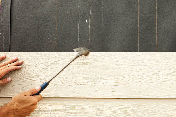 Best Storm Damage Siding Repair  in Queen Creek, AZ